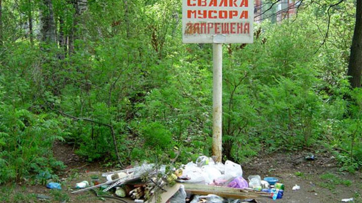 В России может появиться новый штраф за мусор из машины